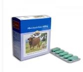 Albendazole Tablet 600mg