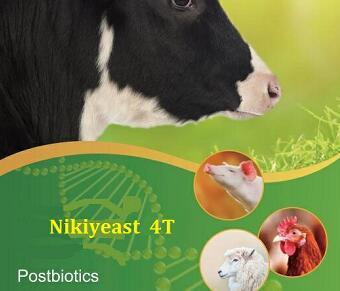 Nikiyeast 4T