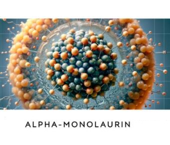 Monolaurin