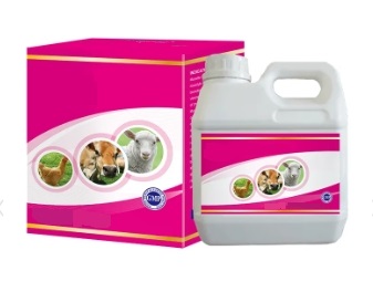 Liver & Kindney Tonic Oral Liquid Liver & Kindney Tonic Oral Liquid