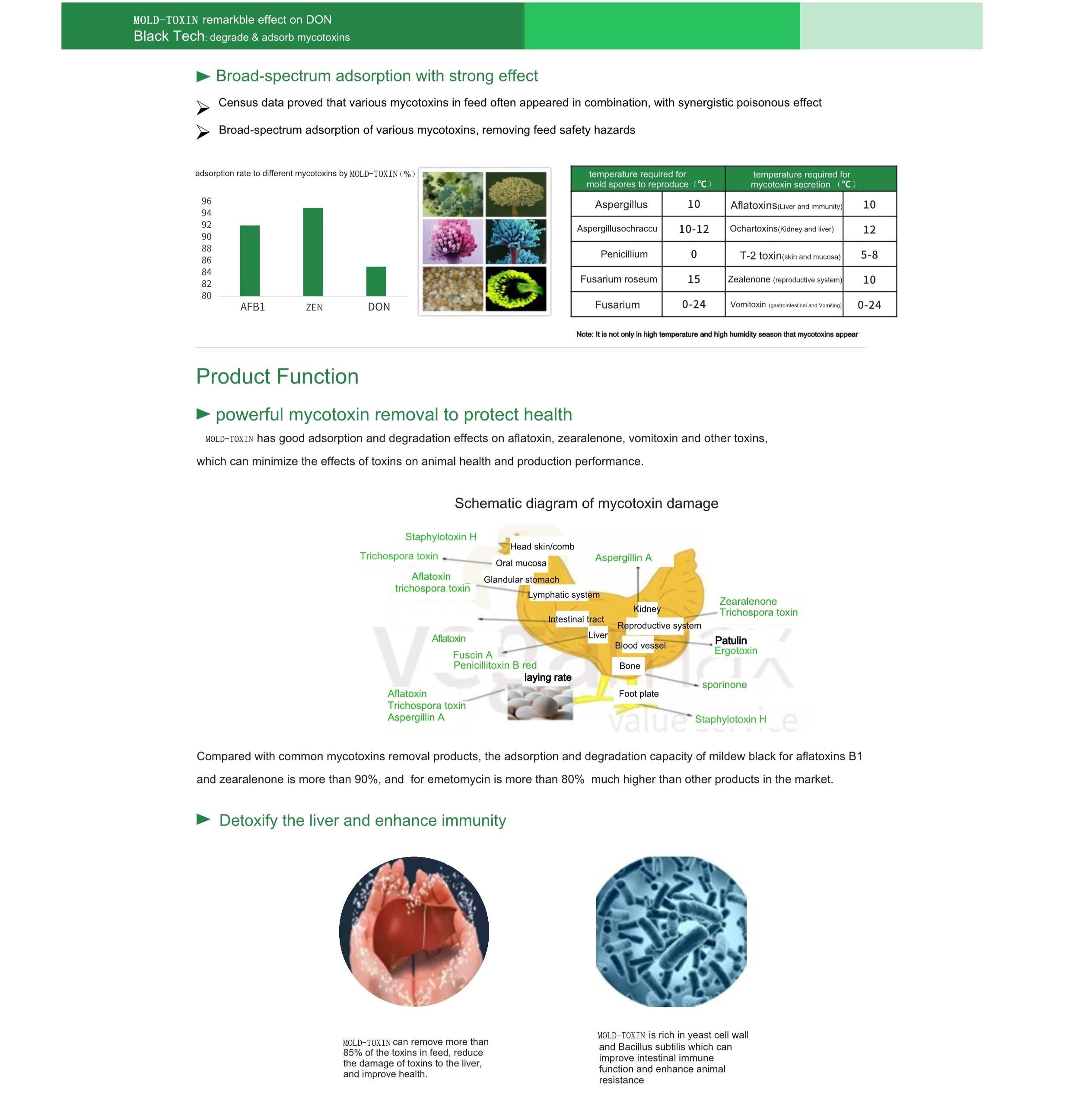 Mold-Toxin Mold-Toxin