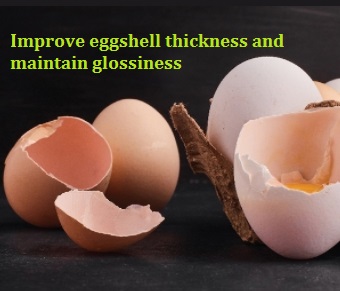 EggPro