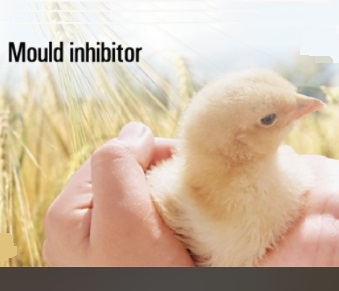 Mould Inhibitor