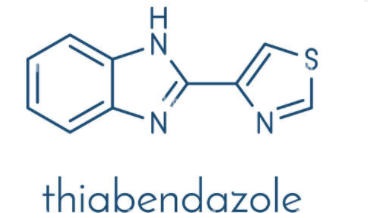 A Guide to Choosing Between Thiabendazole and Imazalil for Banana Preservation