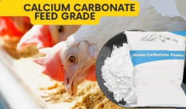 The importance of Calcium Carbonate as excipient in animal feed